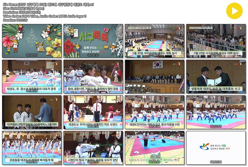 [2017 서구톡톡 21회] 제22회 서구청장배 태권도 대회 사진